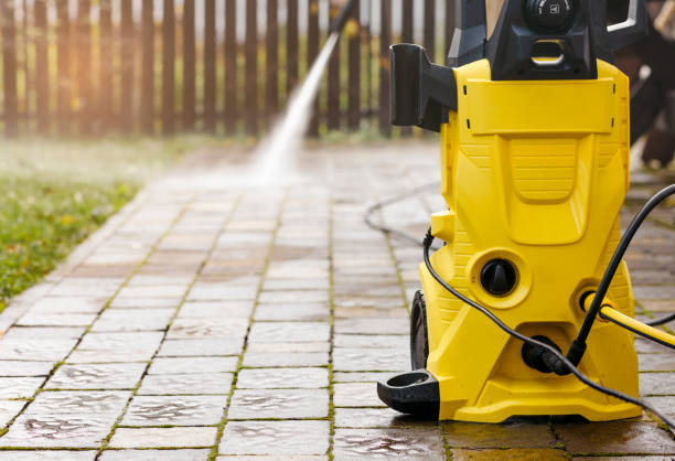Animal Enclosure Cleaning in Alondra Park, CA